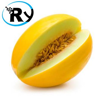 Detail Gambar Melon Kuning Nomer 45