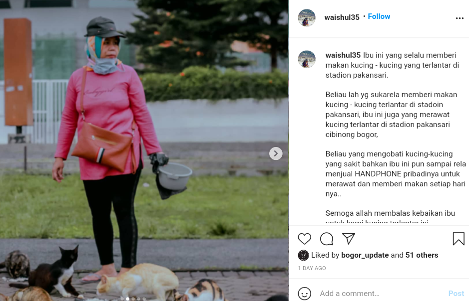 Detail Gambar Memberi Makan Kucing Nomer 46