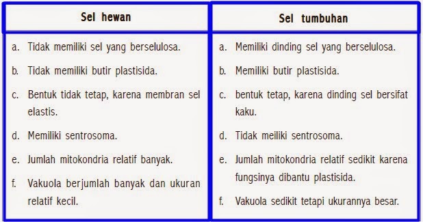 Detail Gambar Membran Sel Tumbuhan Dan Hewan Nomer 29