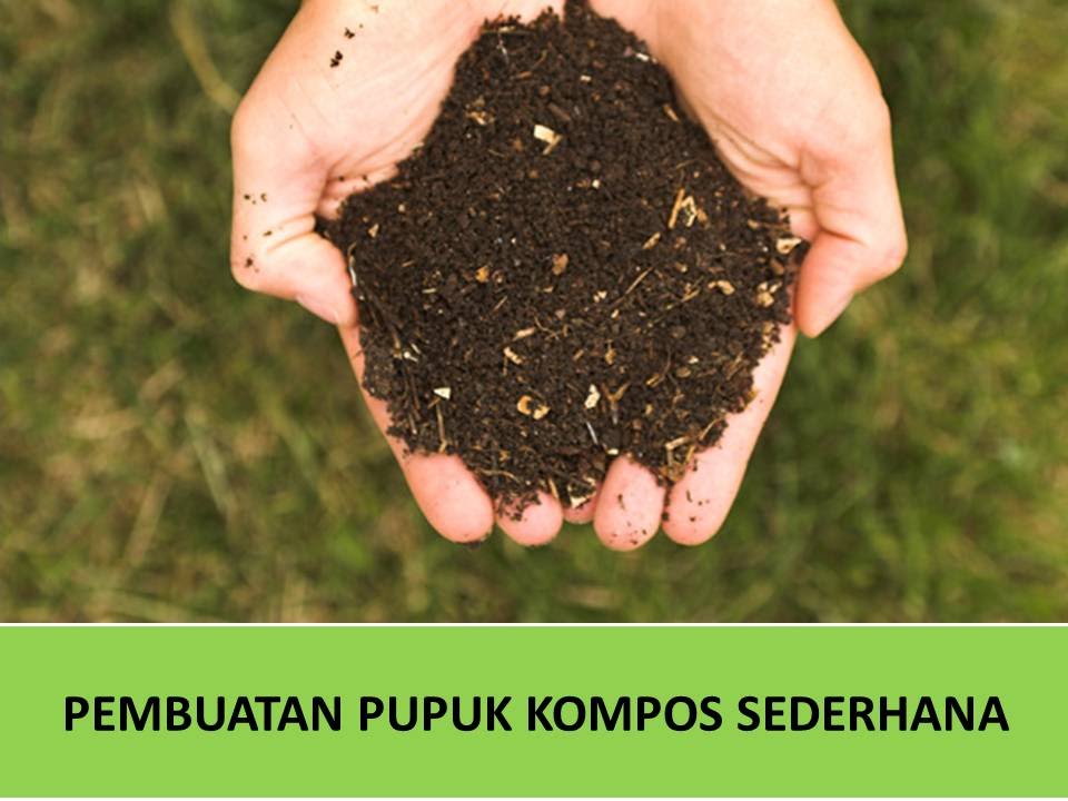 Detail Gambar Membuat Pupuk Kompos Nomer 32