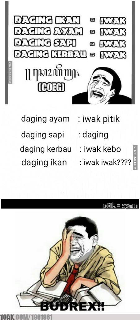 Detail Gambar Meme Lucu Bahasa Jawa Nomer 24