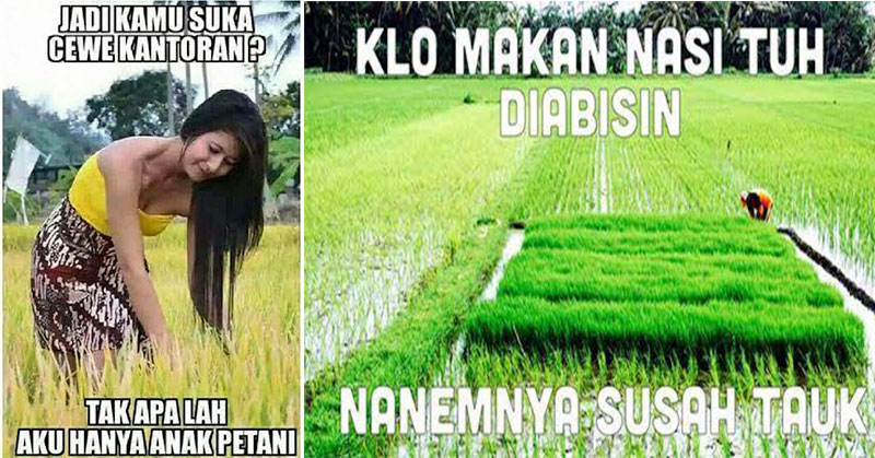 Detail Gambar Meme Ngocok Nomer 17