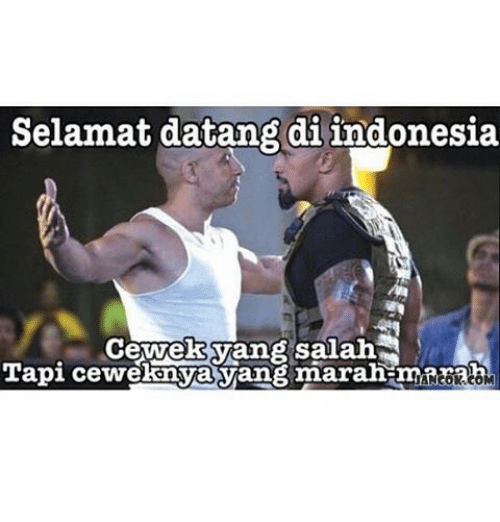 Detail Gambar Meme Selamat Datang Di Indonesia Nomer 40