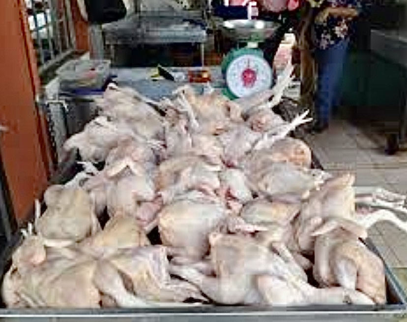 Detail Gambar Memotong Ayam Aduan Nomer 50