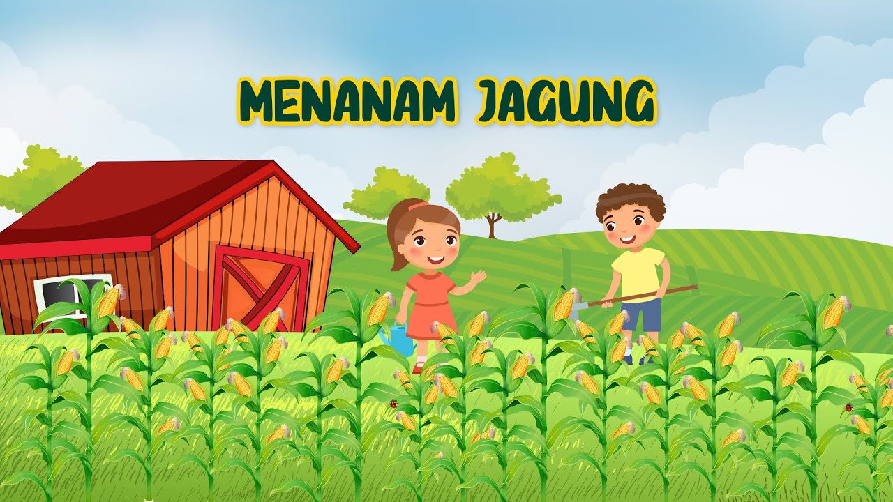 Detail Gambar Menanam Jagung Nomer 34