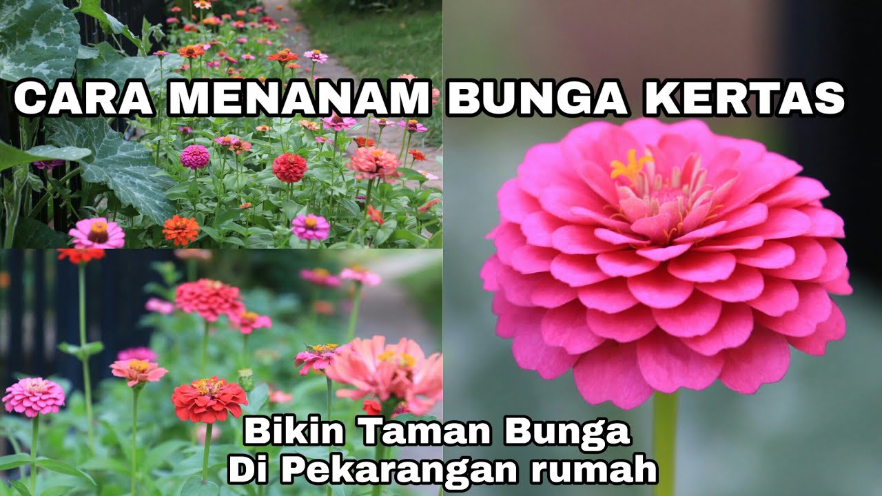 Detail Gambar Menanam Kertas Nomer 56