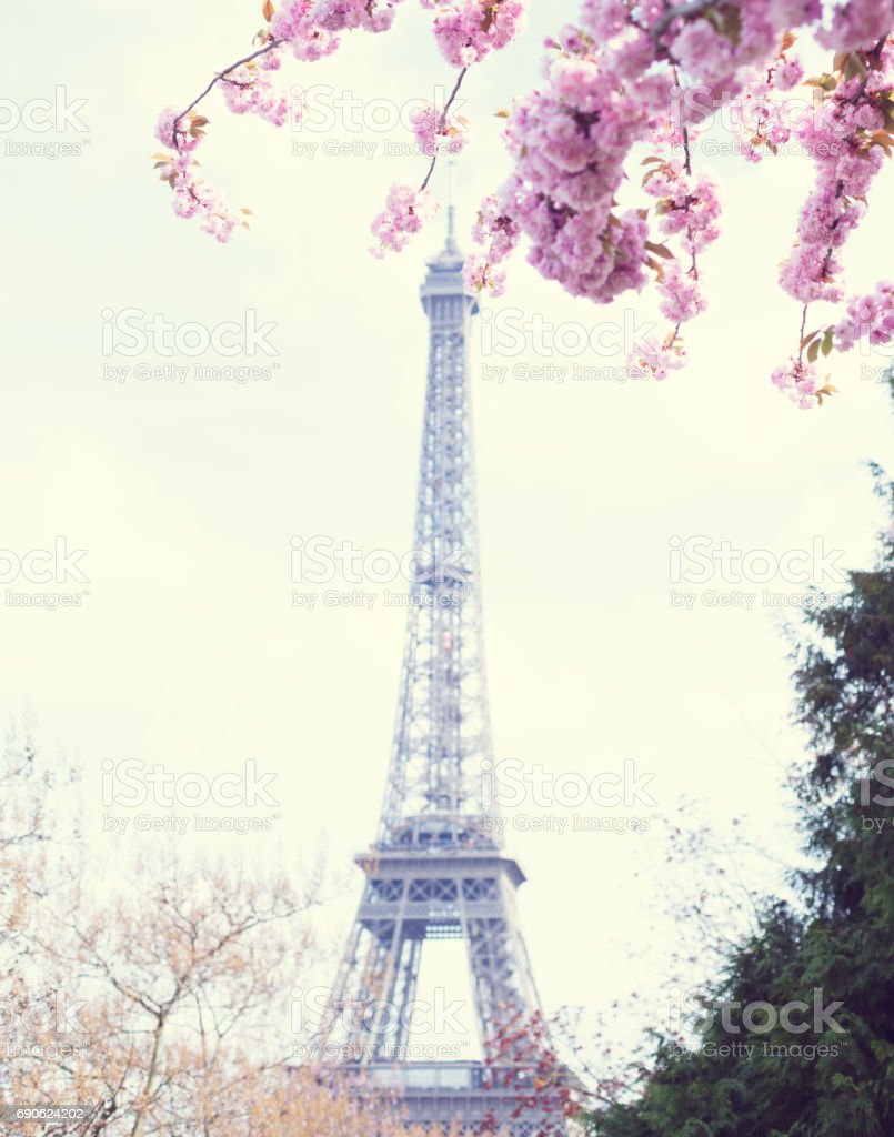 Detail Gambar Menara Eiffel Dan Bunga Sakura Nomer 4