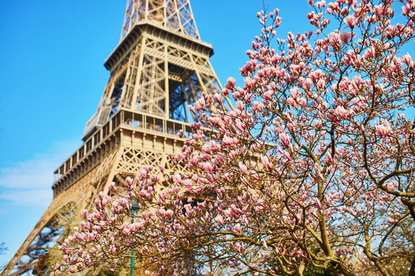 Detail Gambar Menara Eiffel Dan Bunga Sakura Nomer 51