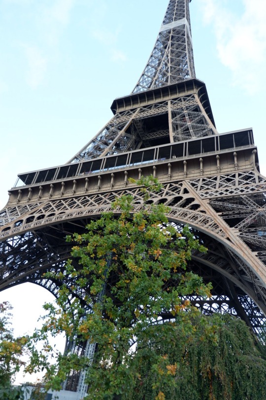 Download Gambar Menara Eiffel Tumblr Nomer 27