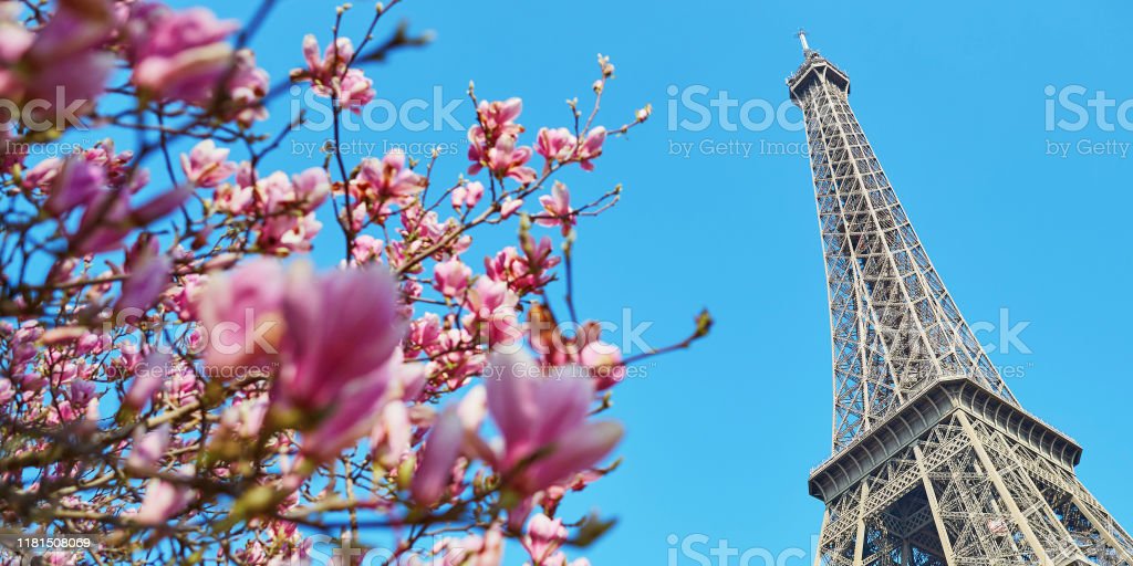 Detail Gambar Menara Gambar Alam Nomer 18