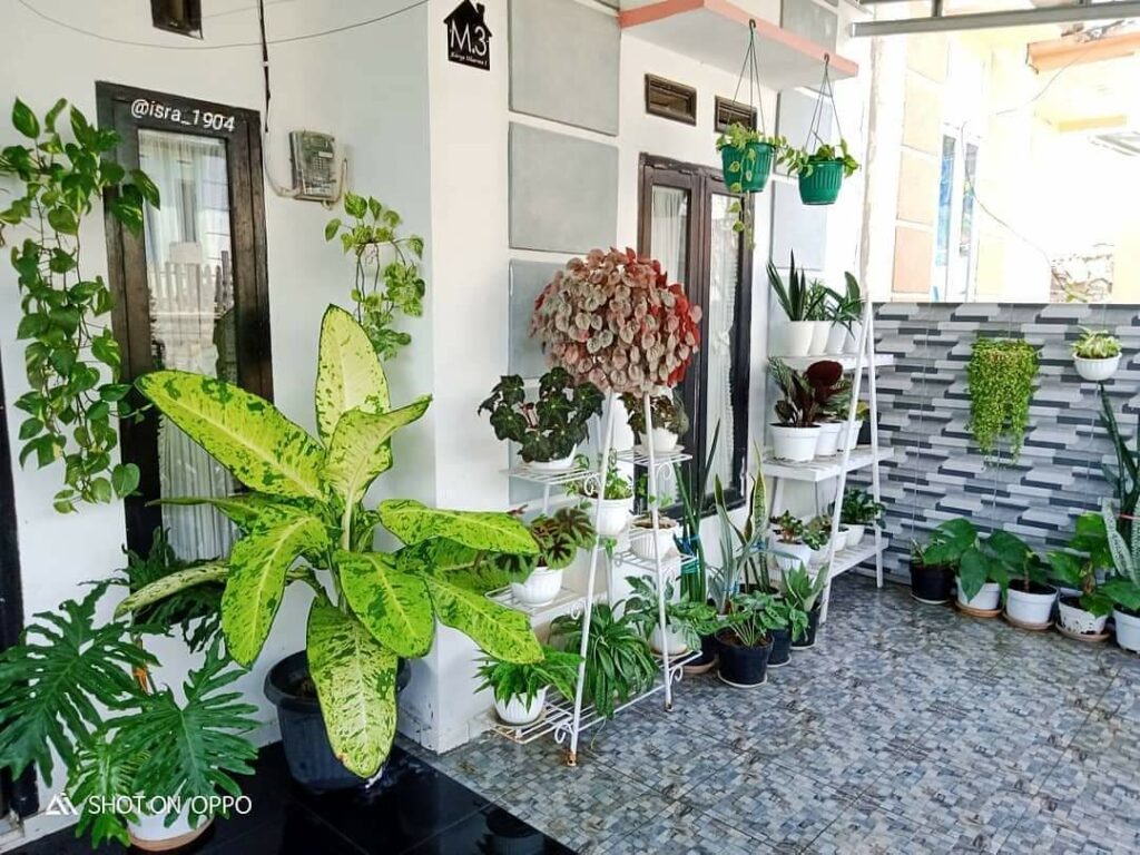 Detail Gambar Menata Teras Rumah Nomer 4