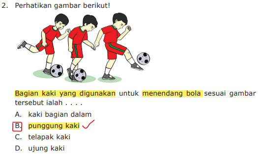 Detail Gambar Menendang Bola Nomer 43