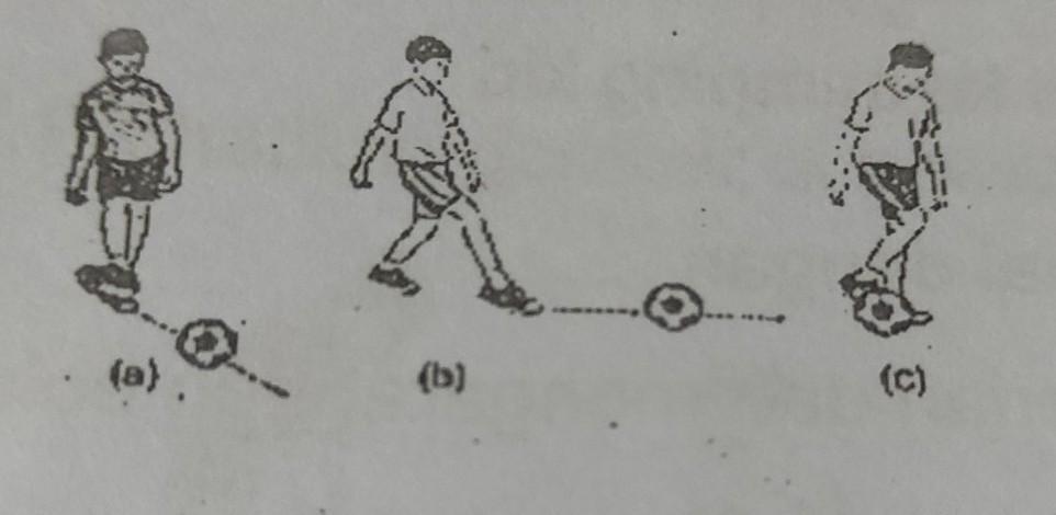 Detail Gambar Menendang Dengan Kaki Bagian Dalam Nomer 45
