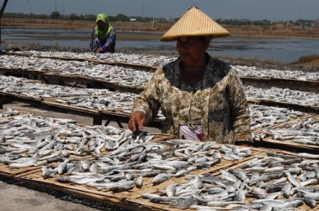 Detail Gambar Mengeringkan Ikan Nomer 9