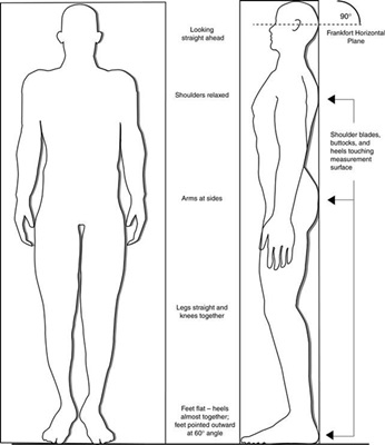 Detail Gambar Mengukur Tinggi Badan Nomer 34