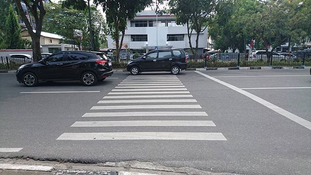 Detail Gambar Menyeberang Di Zebra Cross Nomer 35