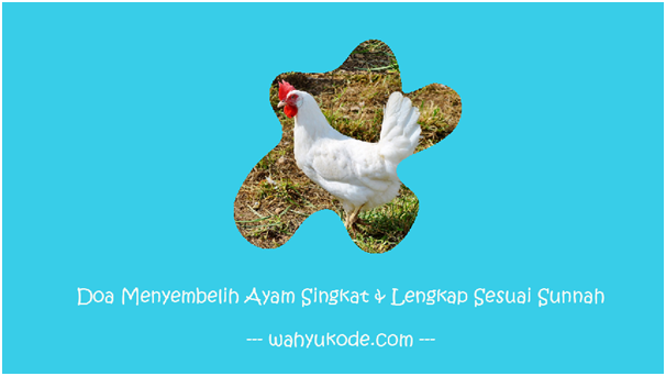 Detail Gambar Menyembelih Ayam Nomer 56