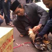 Detail Gambar Menyembelih Ayam Nomer 7