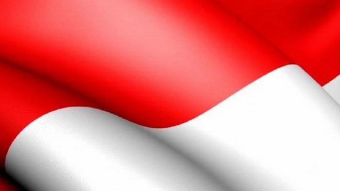 Detail Gambar Merah Putih Bendera Nomer 35