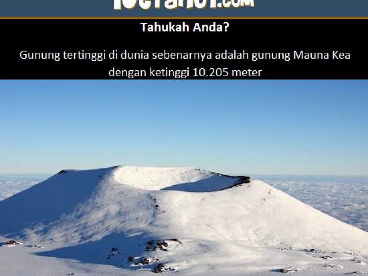 Detail Gambar Meraih Puncak Tertyinggi Nomer 45