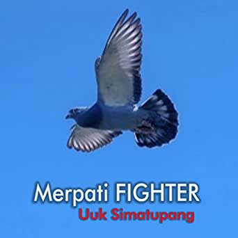 Gambar Merapti Figter - KibrisPDR