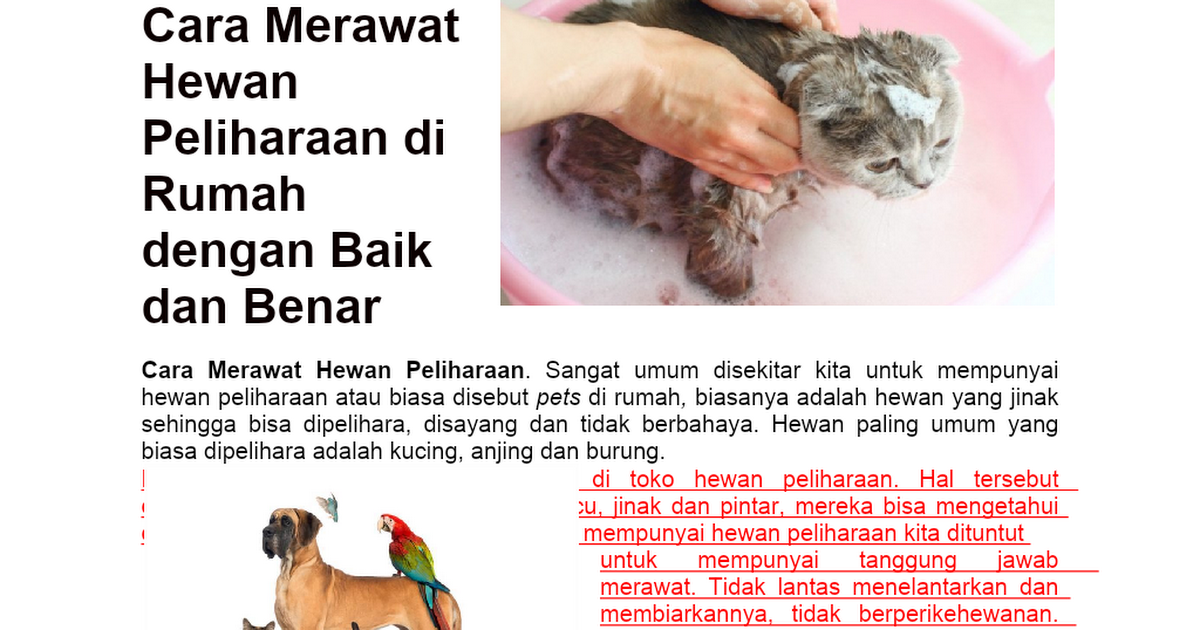 Detail Gambar Merawat Hewan Nomer 45