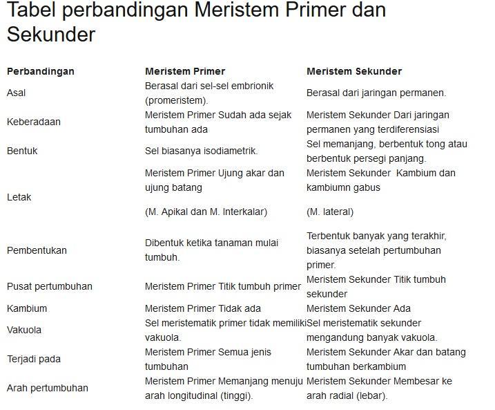 Detail Gambar Meristem Primer Nomer 46