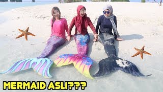 Detail Gambar Mermaid Asli Nomer 16