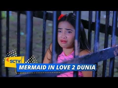 Detail Gambar Mermaid In Love 2 Dunia Nomer 19