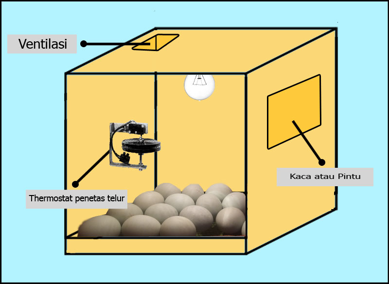 Detail Gambar Mesin Penetas Nomer 31