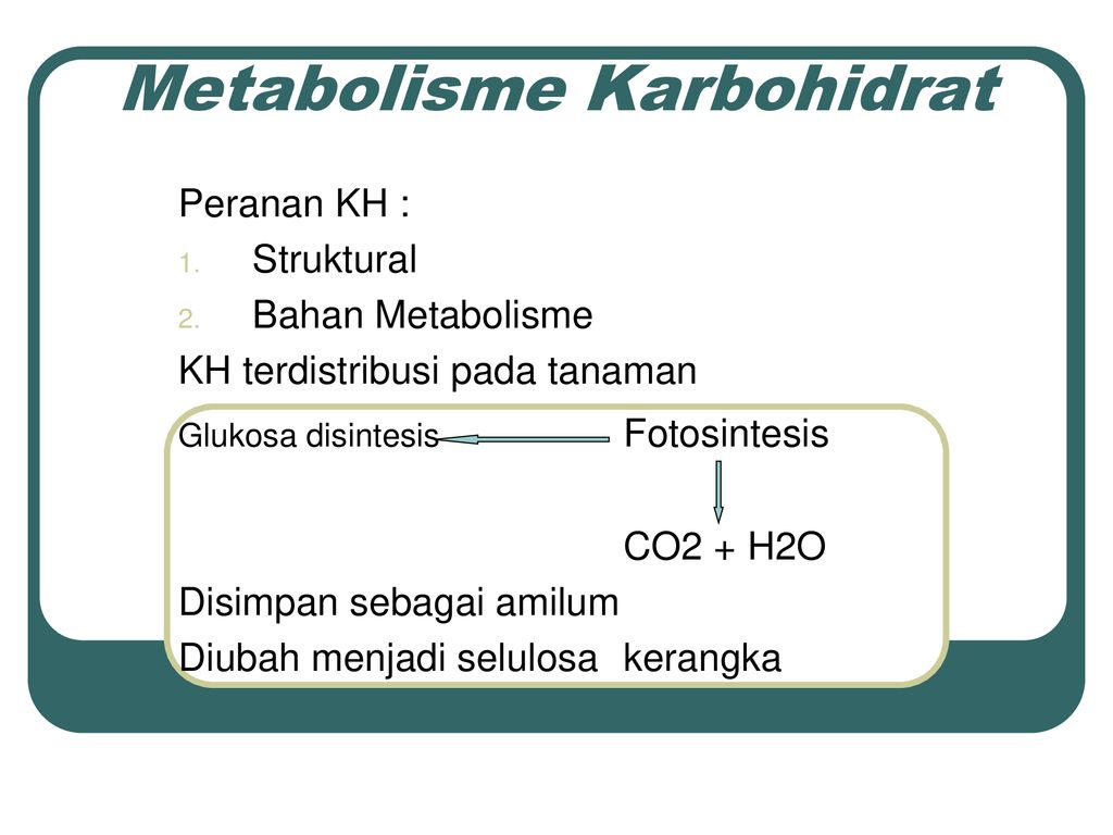 Detail Gambar Metabolisme Karbohidrat Nomer 25