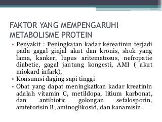 Detail Gambar Metabolisme Protein Nomer 39