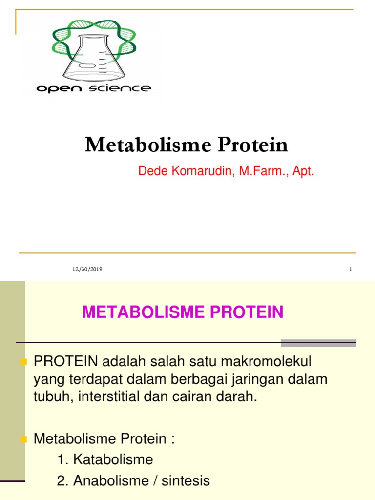 Detail Gambar Metabolisme Protein Nomer 44