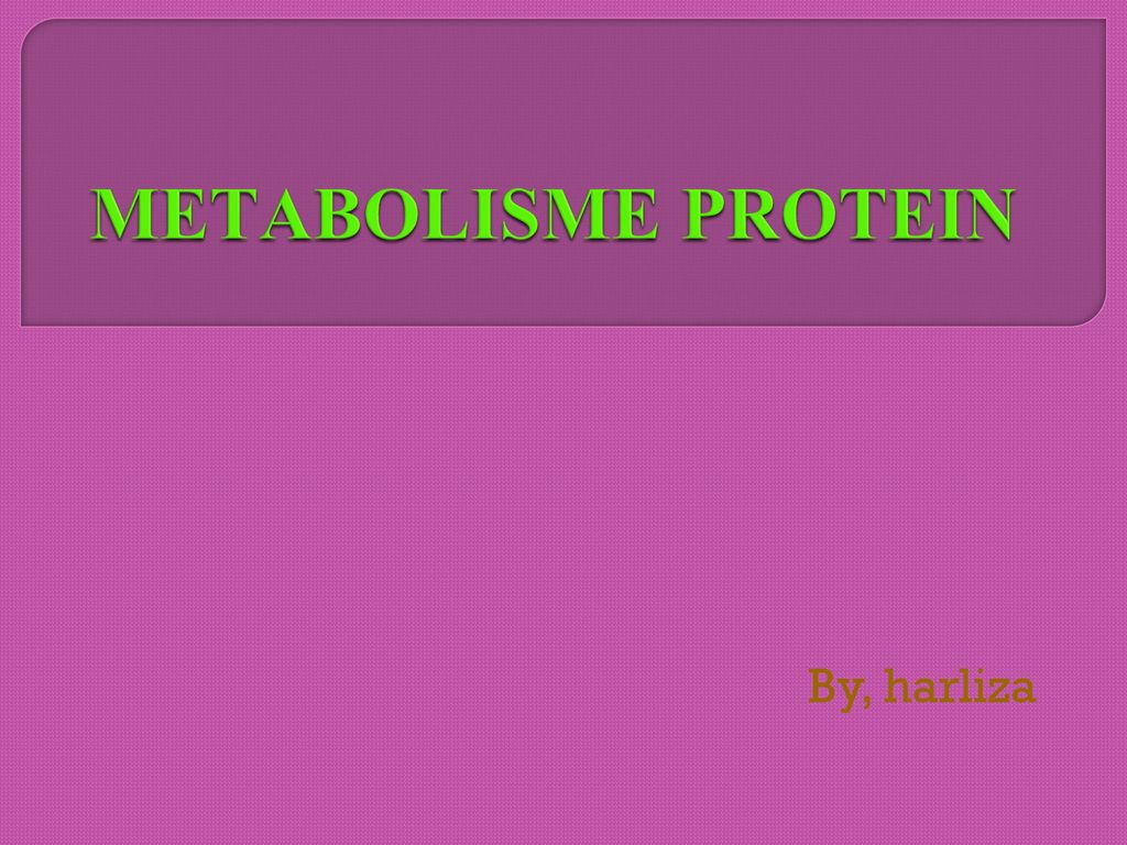 Detail Gambar Metabolisme Protein Nomer 45