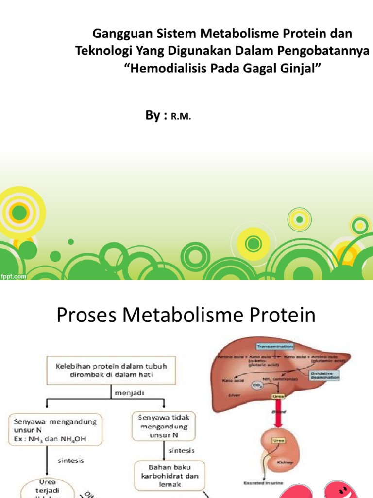 Detail Gambar Metabolisme Protein Nomer 48