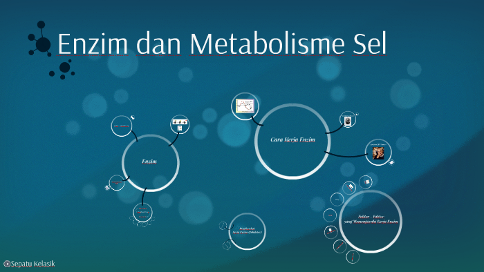 Detail Gambar Metabolisme Sel Nomer 23