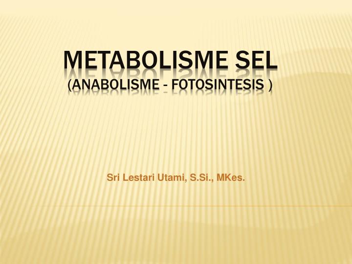 Detail Gambar Metabolisme Sel Nomer 33