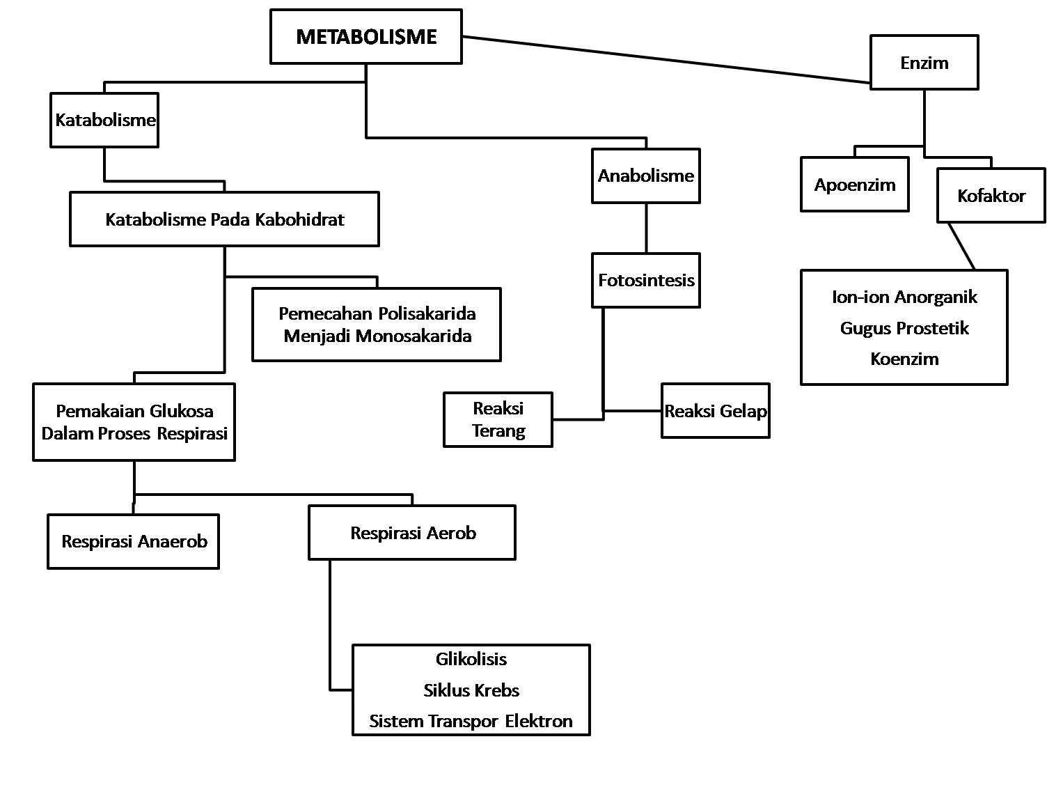 Detail Gambar Metabolisme Sel Nomer 47