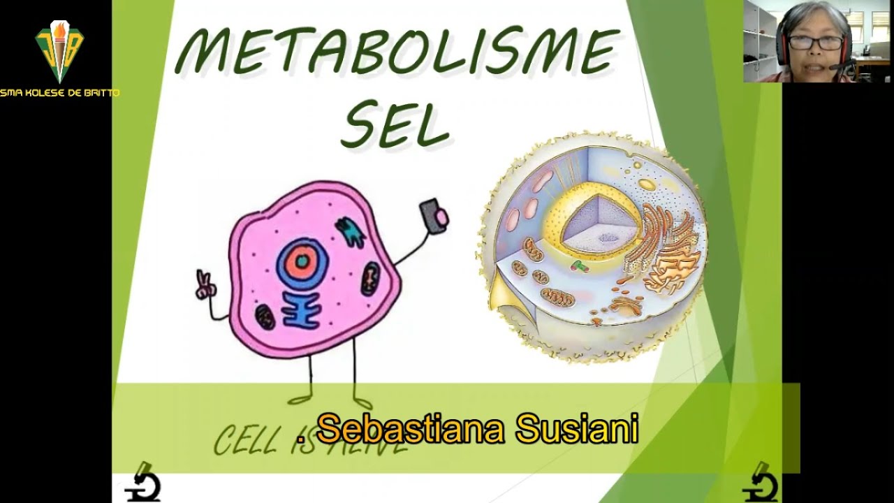 Detail Gambar Metabolisme Sel Nomer 10