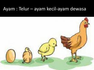 Detail Gambar Metamorfosis Ayam Nomer 40