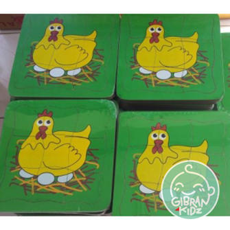 Detail Gambar Metamorfosis Ayam Nomer 47