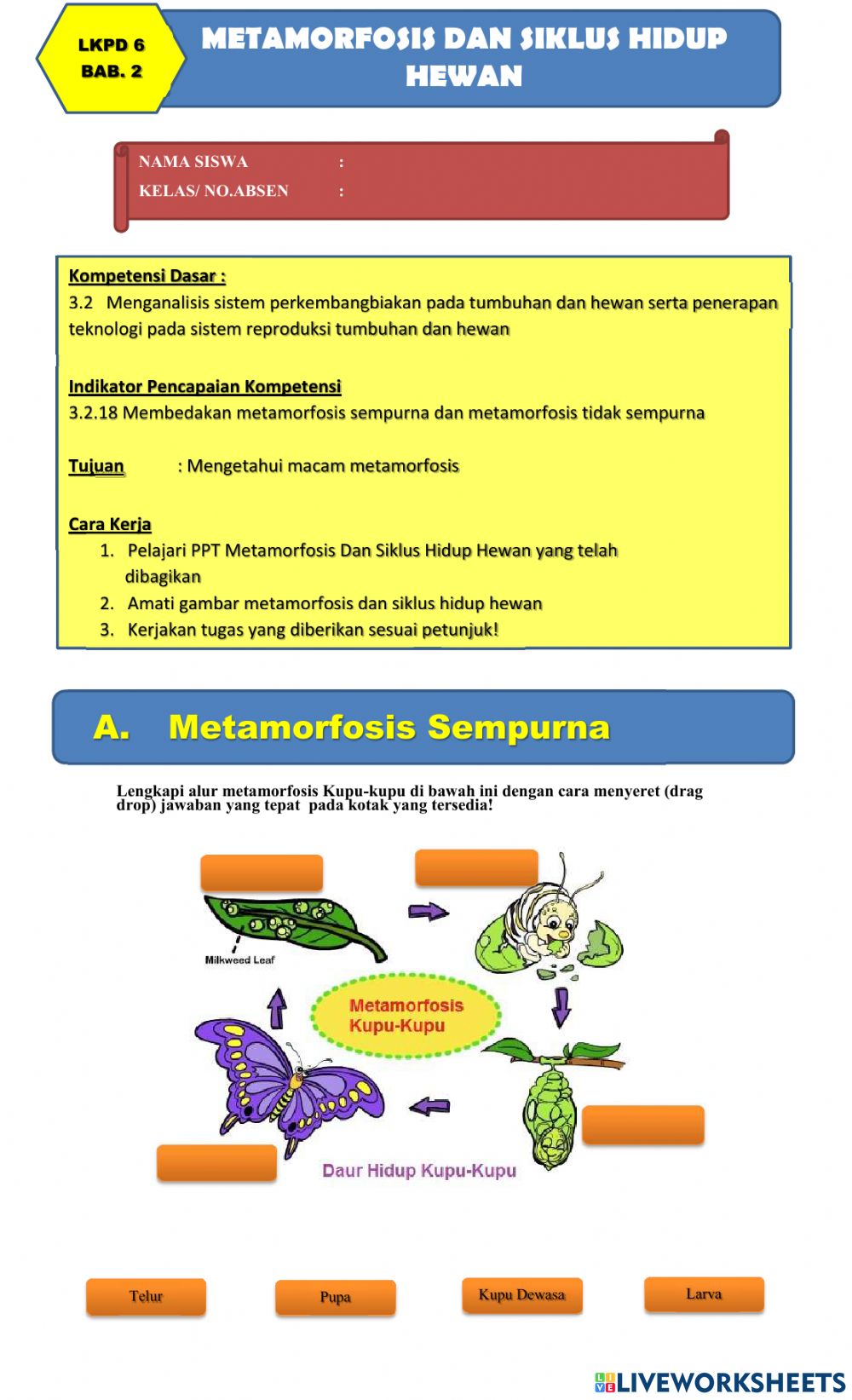 Detail Gambar Metamorfosis Hewan Nomer 47