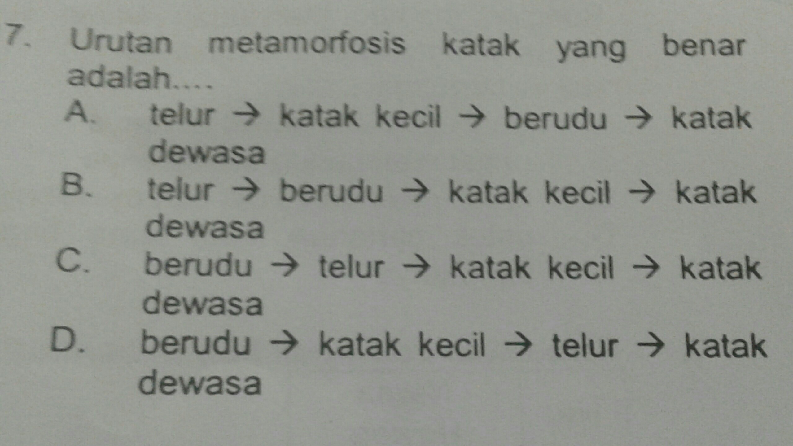 Detail Gambar Metamorfosis Pada Katak Nomer 50