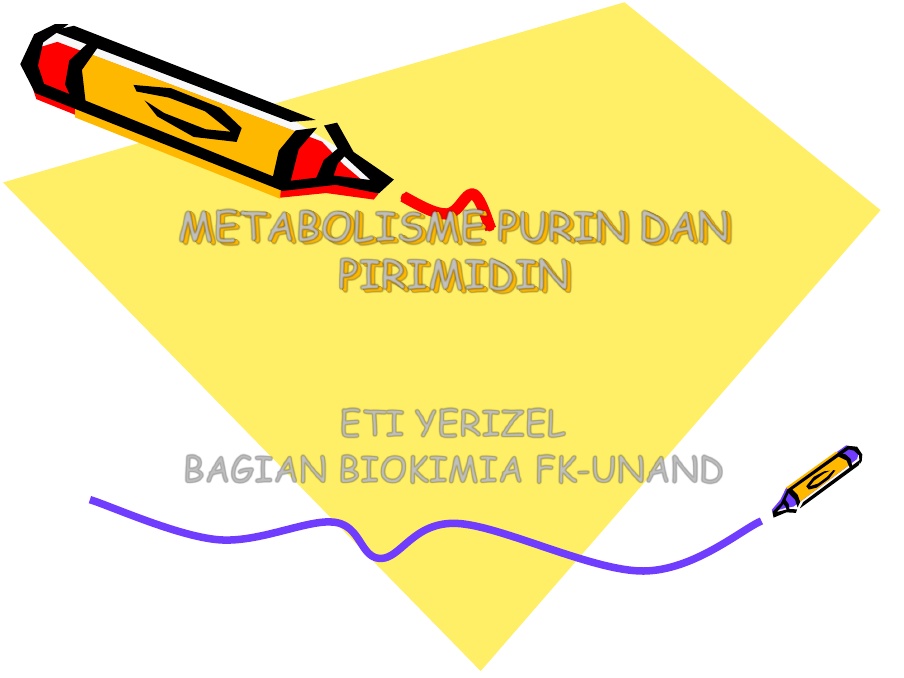 Detail Gambar Metbolisme Purin Nomer 26