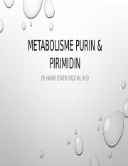 Detail Gambar Metbolisme Purin Nomer 39