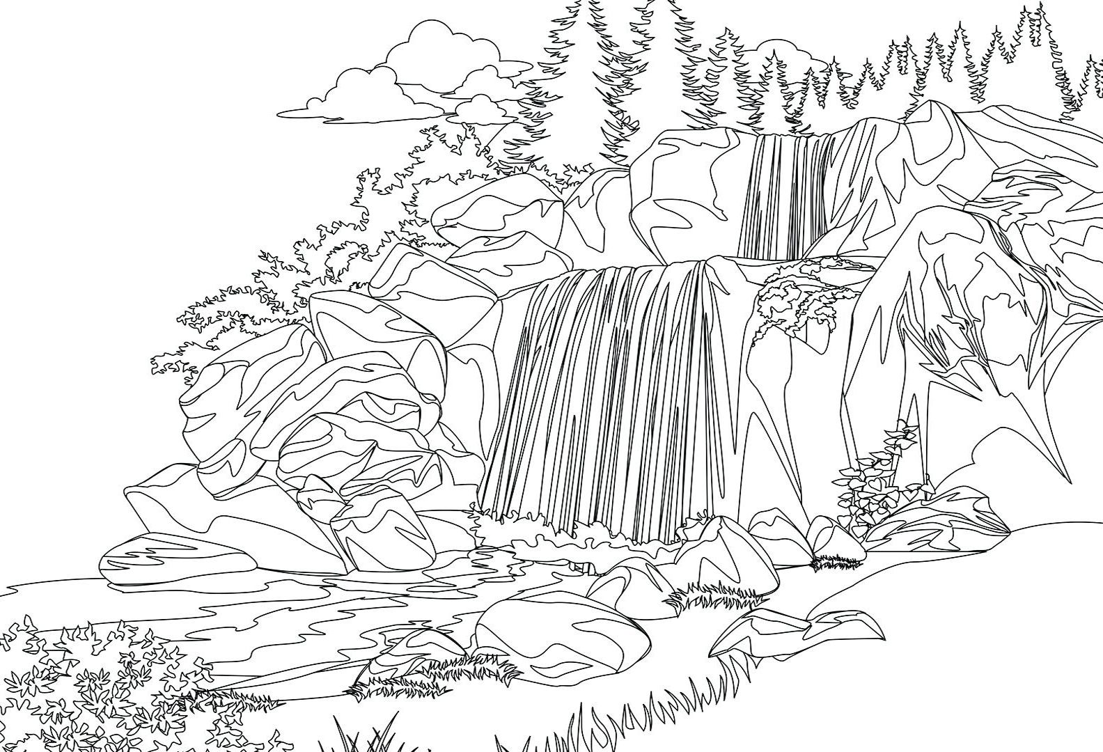 Detail Gambar Mewarna Colouring Picture Forest Nomer 2