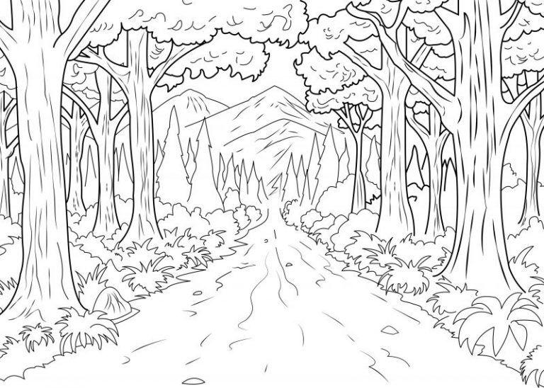 Detail Gambar Mewarna Colouring Picture Forest Nomer 22