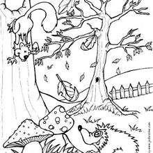 Detail Gambar Mewarna Colouring Picture Forest Nomer 40