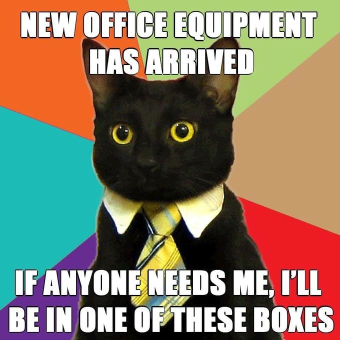 Detail Business Cat Meme Nomer 2