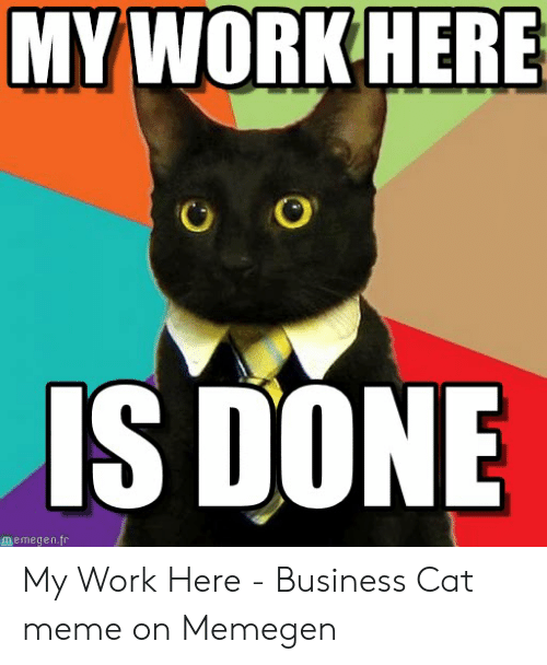 Detail Business Cat Meme Nomer 21
